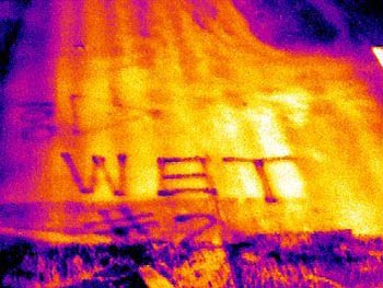 Infrared Camera Rentals